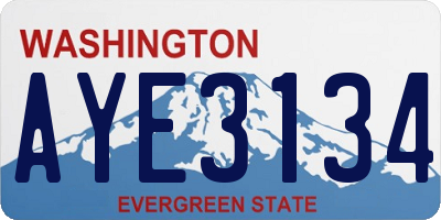 WA license plate AYE3134