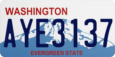 WA license plate AYE3137