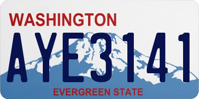 WA license plate AYE3141