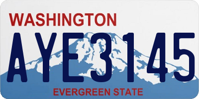 WA license plate AYE3145