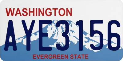WA license plate AYE3156