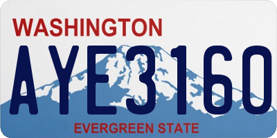 WA license plate AYE3160