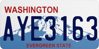 WA license plate AYE3163