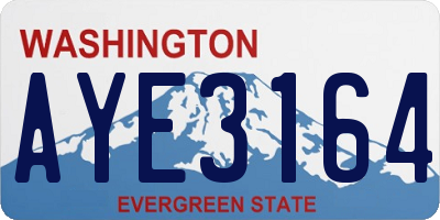 WA license plate AYE3164