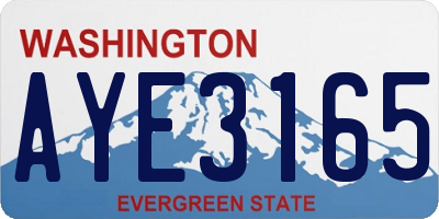 WA license plate AYE3165