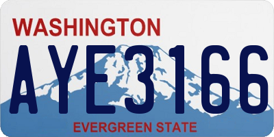 WA license plate AYE3166