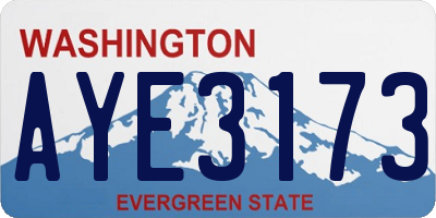 WA license plate AYE3173