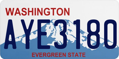 WA license plate AYE3180