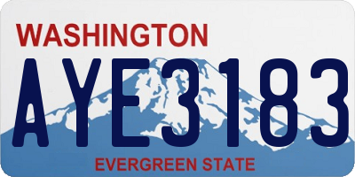 WA license plate AYE3183