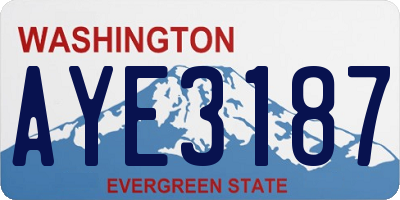 WA license plate AYE3187
