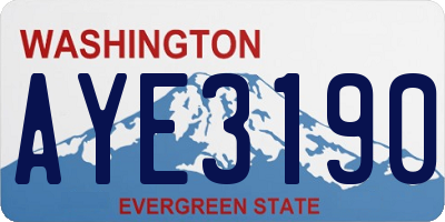 WA license plate AYE3190