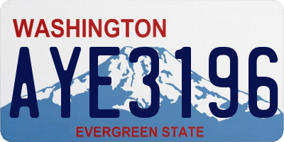 WA license plate AYE3196