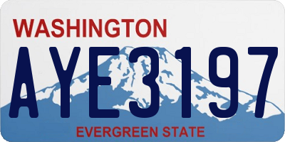WA license plate AYE3197