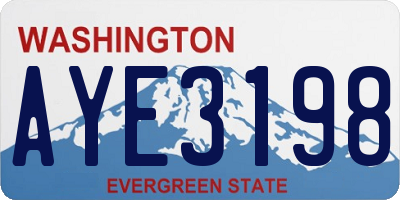 WA license plate AYE3198