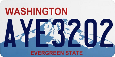 WA license plate AYE3202
