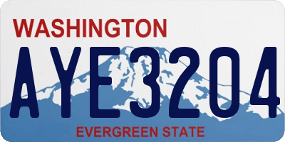 WA license plate AYE3204