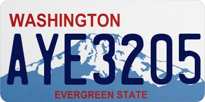 WA license plate AYE3205