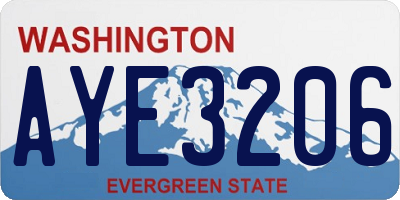 WA license plate AYE3206
