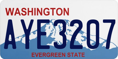 WA license plate AYE3207