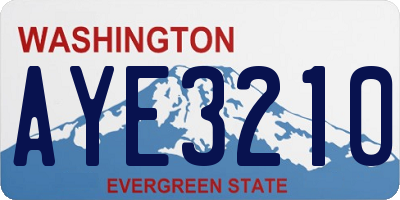 WA license plate AYE3210