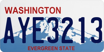 WA license plate AYE3213