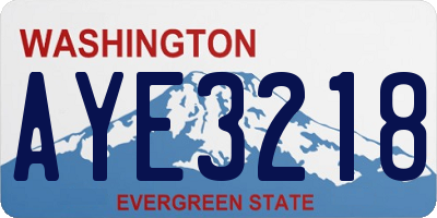 WA license plate AYE3218