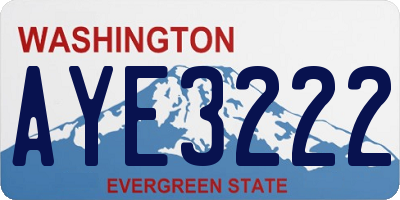 WA license plate AYE3222