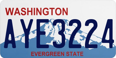 WA license plate AYE3224