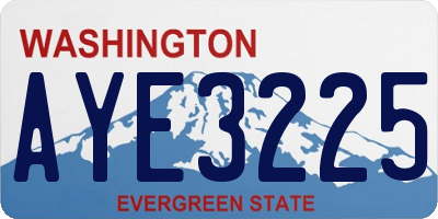 WA license plate AYE3225
