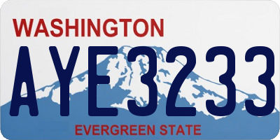 WA license plate AYE3233