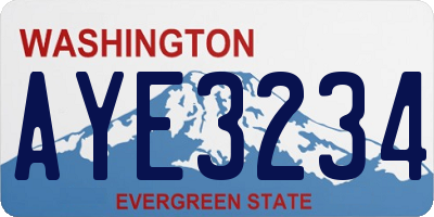 WA license plate AYE3234