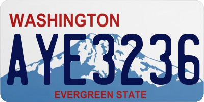 WA license plate AYE3236
