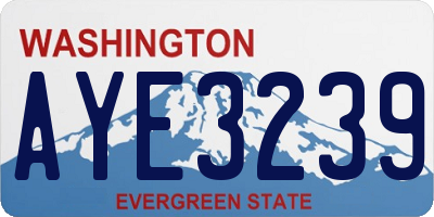WA license plate AYE3239
