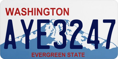 WA license plate AYE3247