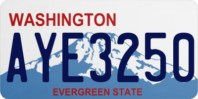 WA license plate AYE3250