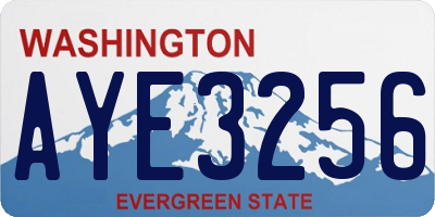 WA license plate AYE3256