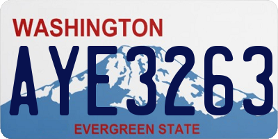 WA license plate AYE3263