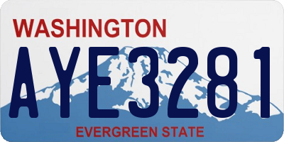 WA license plate AYE3281