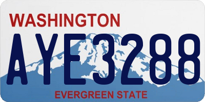 WA license plate AYE3288