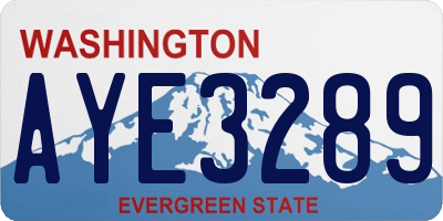 WA license plate AYE3289