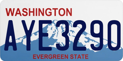 WA license plate AYE3290