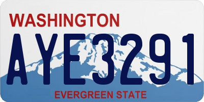 WA license plate AYE3291