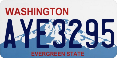 WA license plate AYE3295