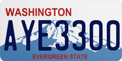 WA license plate AYE3300
