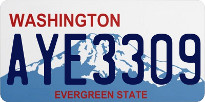 WA license plate AYE3309