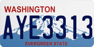 WA license plate AYE3313