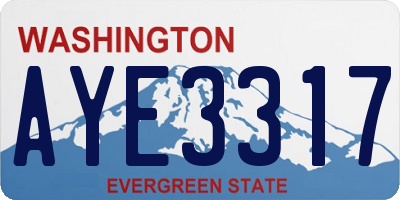 WA license plate AYE3317