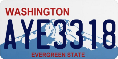 WA license plate AYE3318