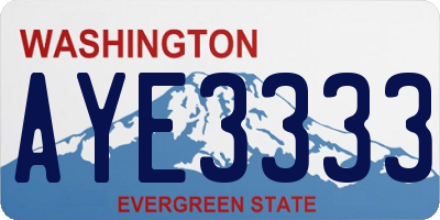WA license plate AYE3333