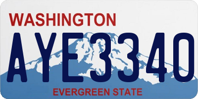 WA license plate AYE3340